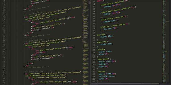 Server Mastery: Scaling and Managing Efficiently